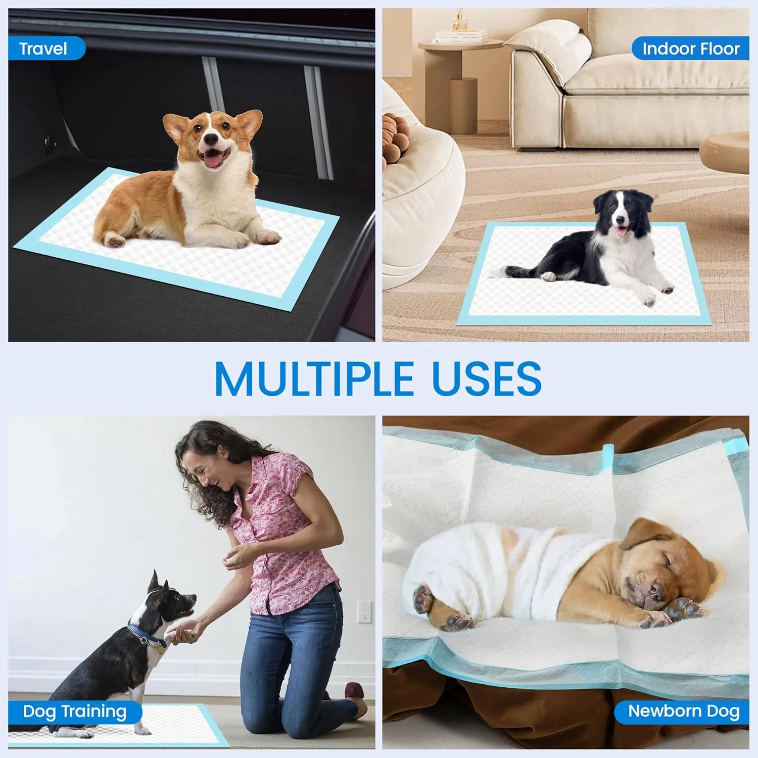 22" x 23" Pee Pads for Dogs, 6 Layers Super Absorbent, Leak Proof Quick Drying Pet Pee Pads, Training Puppy Pads - 10 Count