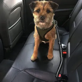 Adjustable Dog Seat Belt Enhanced Carabiner