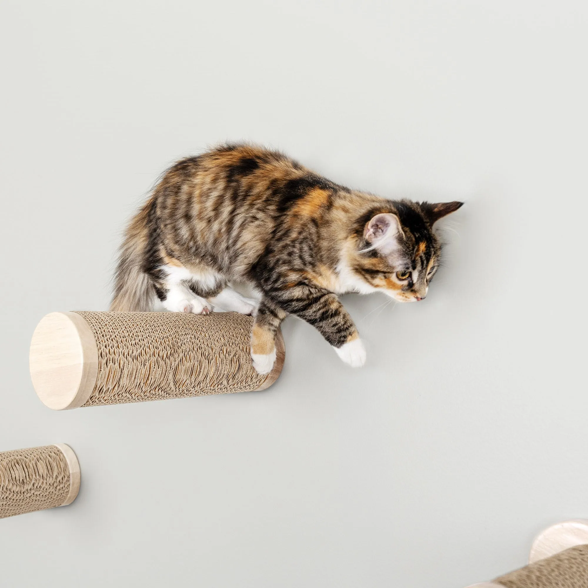Ascentials by FurHaven Milestone Cat Posts, 12” Multi-Use Indoor Wall Furniture and Corrugated Cardboard Scratcher