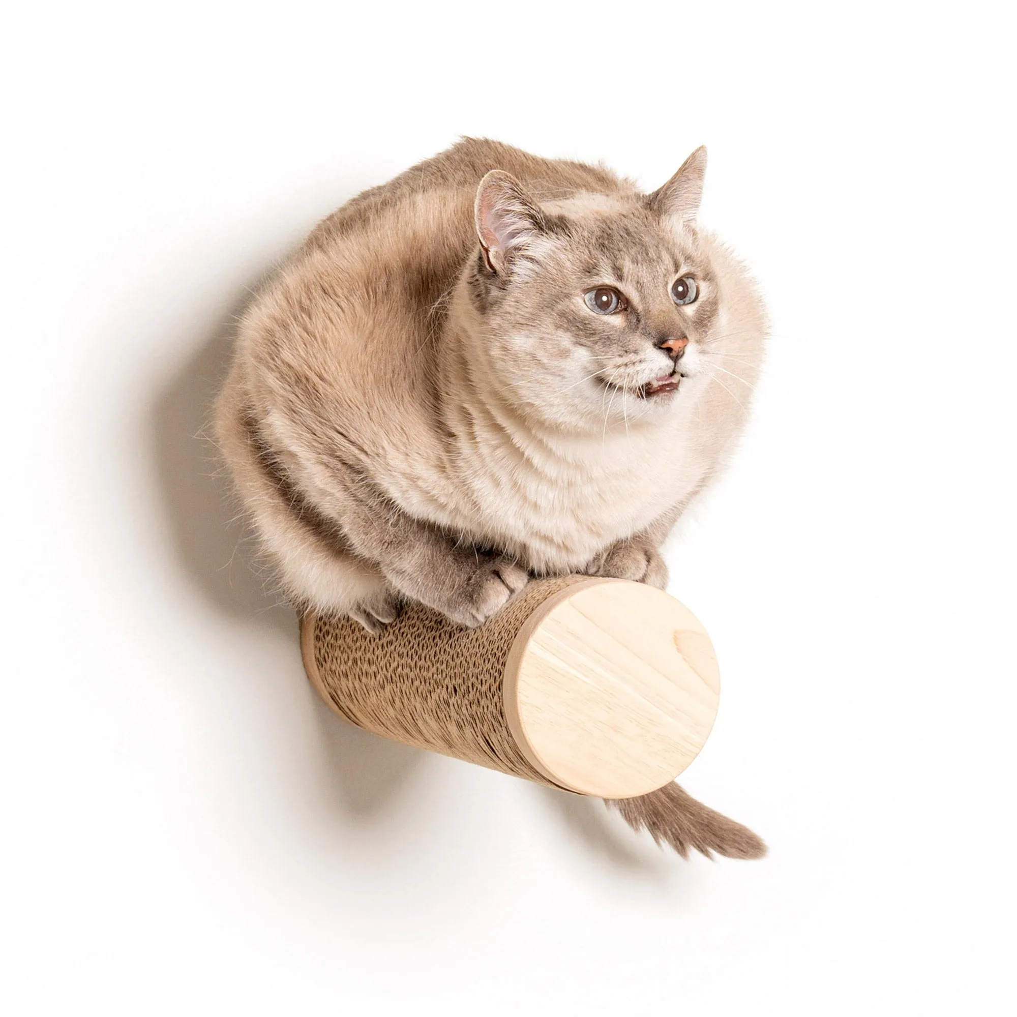 Ascentials by FurHaven Milestone Cat Posts, 12” Multi-Use Indoor Wall Furniture and Corrugated Cardboard Scratcher