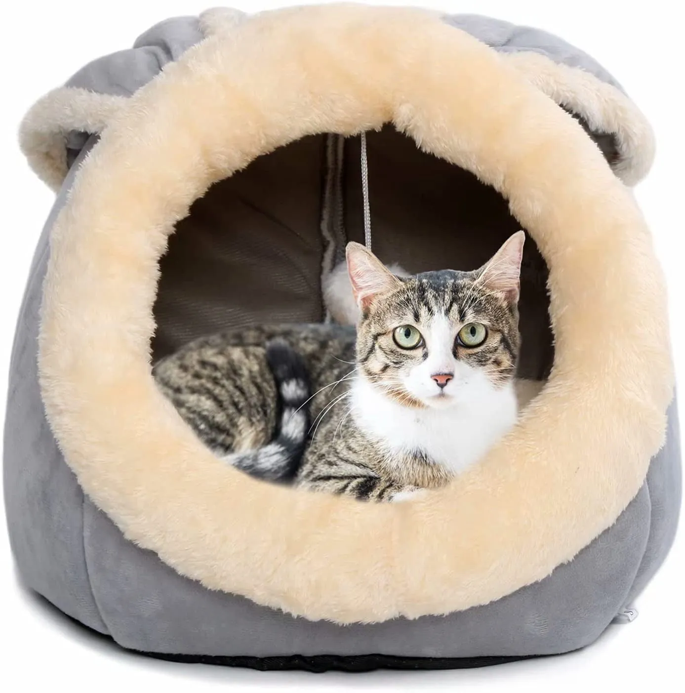 Beds for Indoor Cats