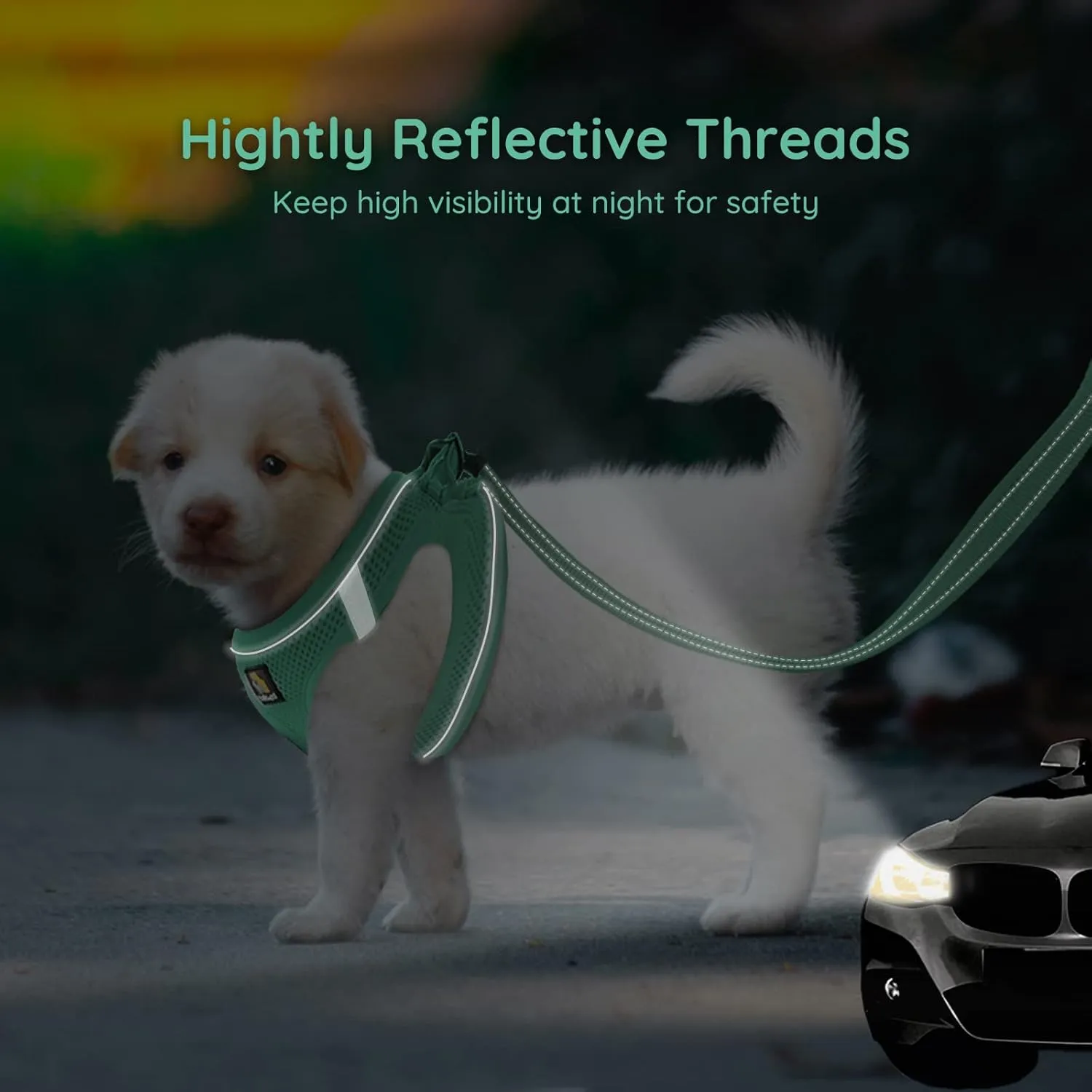 BELLA & PAL Small Emerald Dog Harness with Leash Set, No Pull, Step in Design, Reflective, Lightweight Mesh, S