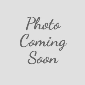 Black Nylon Webbing Dog Harness - 807