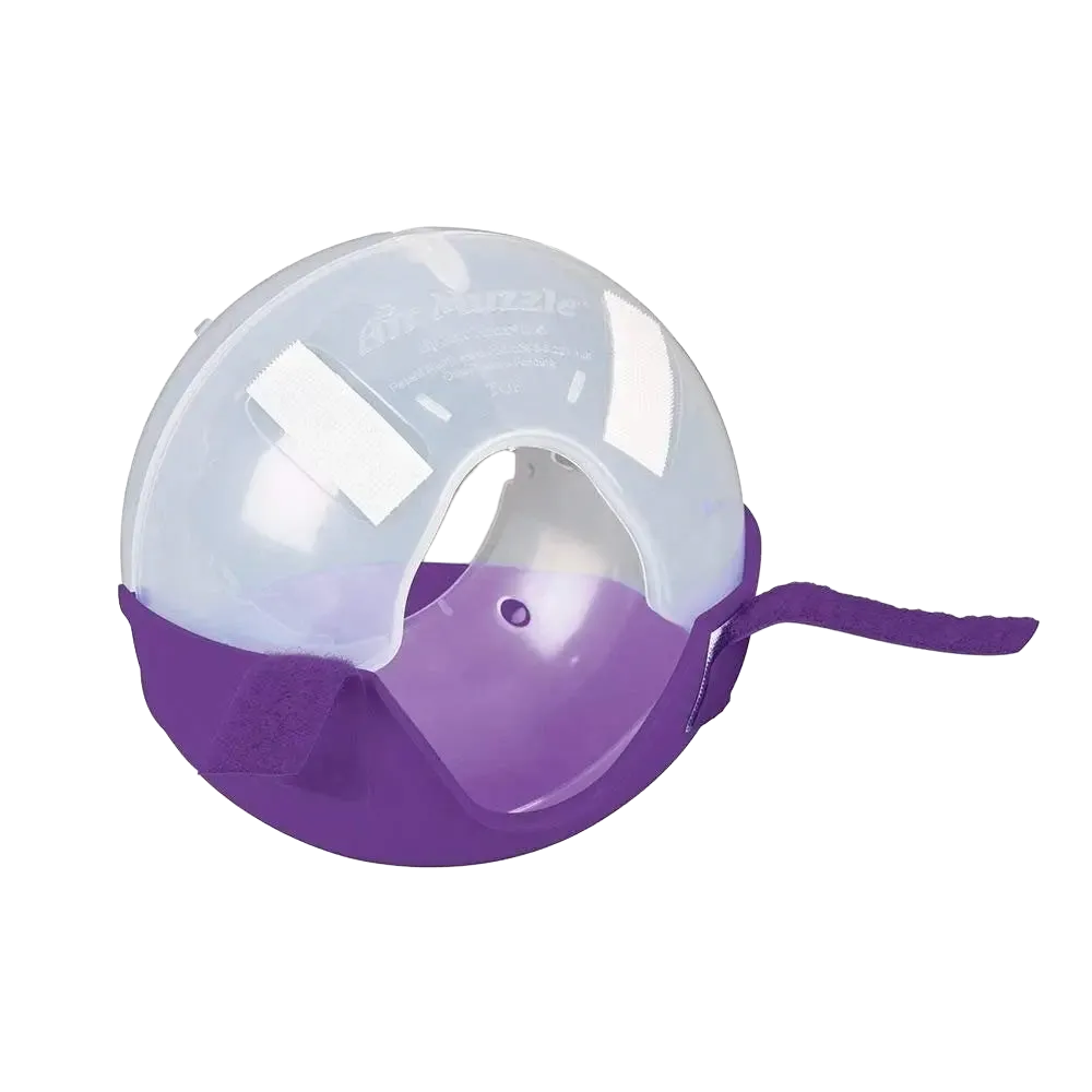 Cat and Flat Face Dog Air Muzzle