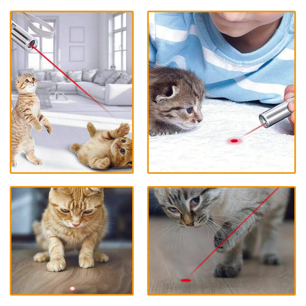 Cat Laser - Rechargeable