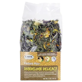 Dandelion Delicacy
