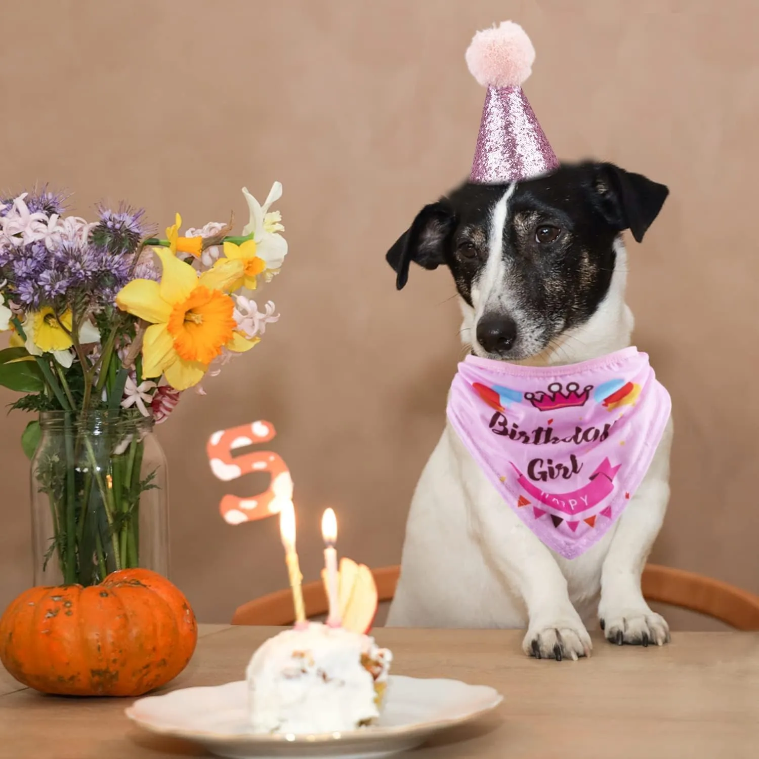 Dog Birthday Party Supplies Bandana Hat Banner Set Boy Girl Cute Bow Tie Scarf Dog Birthday Decorations (PinkDog Girl) (Pink, 13 inches)
