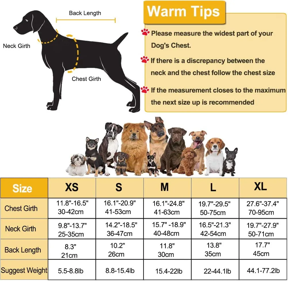Dog Life Jacket w/ Wings - Dog & Cat Apparel