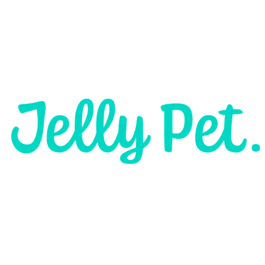 Grooming Loop 3/8"x18" With Ring Teal by Jelly Pet