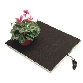 Heated Tray