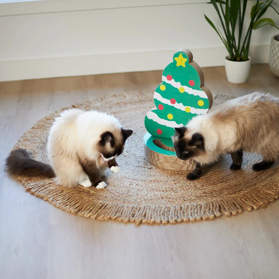 Kazoo Christmas Tree Cardboard Cat Scratcher***