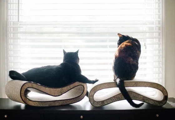 Lee Loo Cat Scratcher