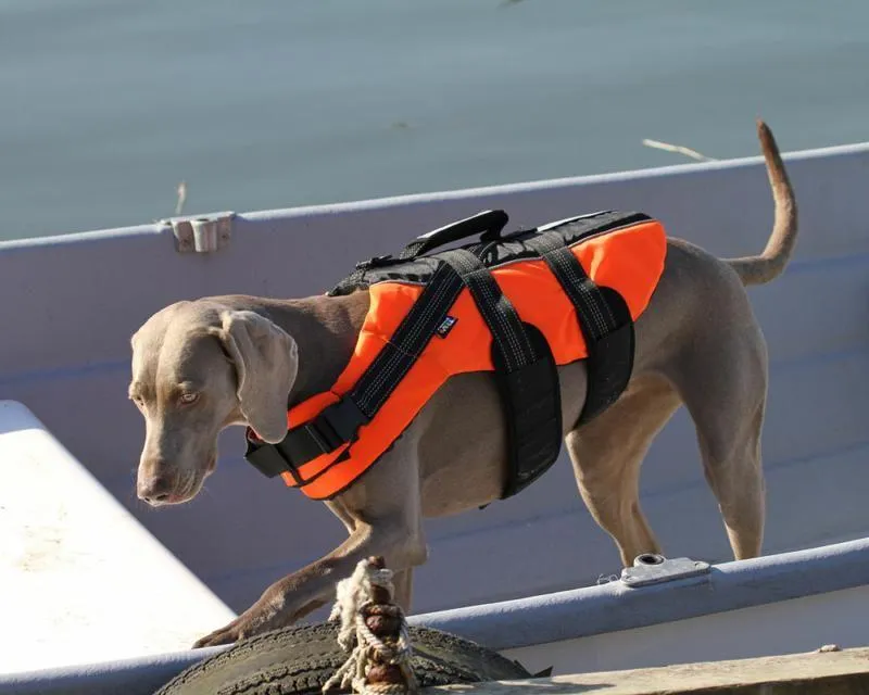 Life Vest