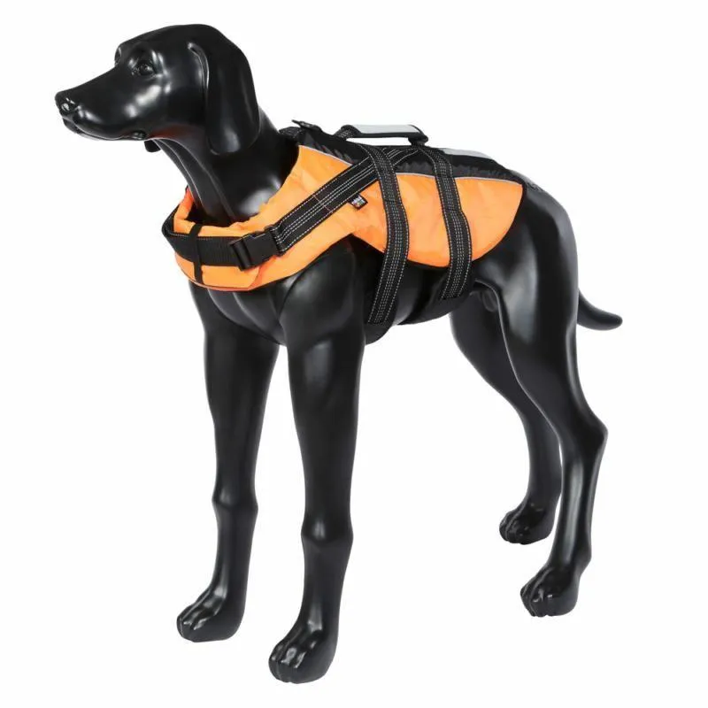 Life Vest