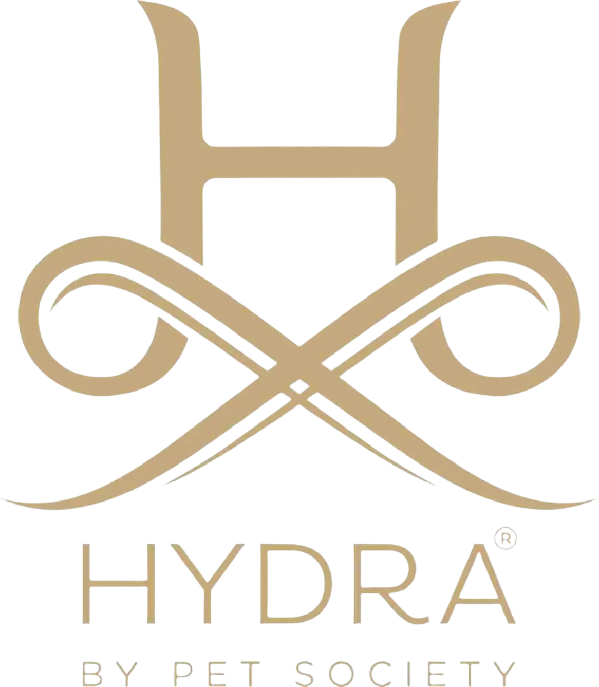 Luxury Care Fast Shower by Hydra