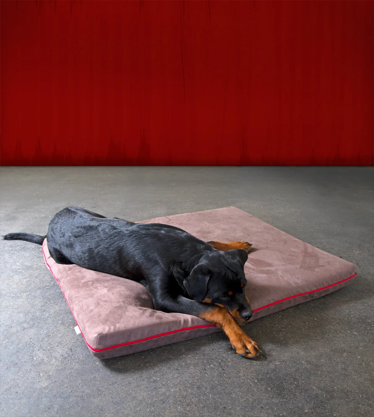 Mary Memory Foam Dog Bed (Brown)