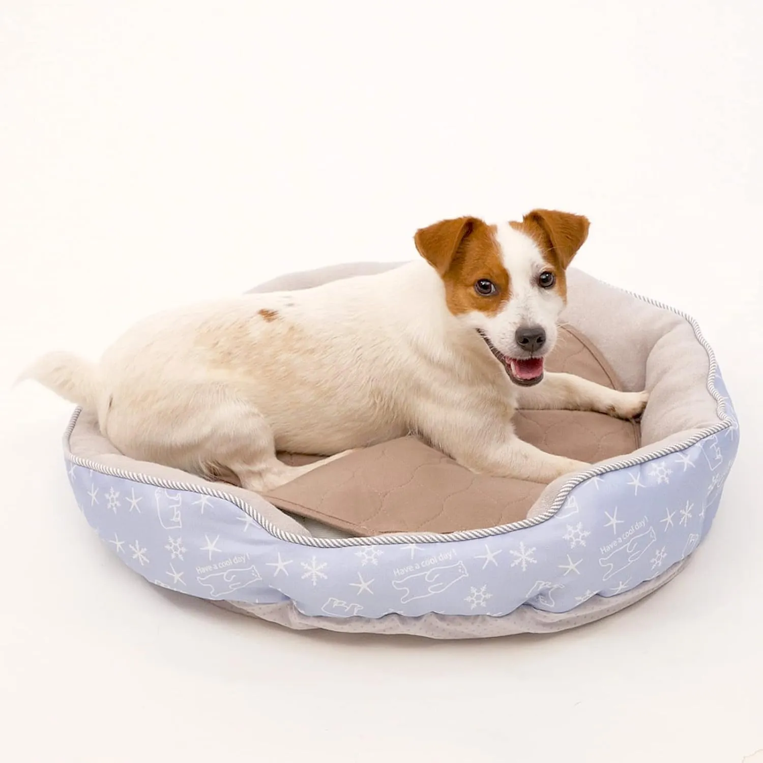Paw Inspired Round Washable Pee Pads for Dogs | Reusable Puppy Pads | Waterproof Whelping Pads | Washable Training Pet Pads, Washable Potty Pads Extra Large Sizes (17" (2 Pack))