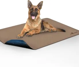 Paw Inspired Washable Pee Pads for Dogs | Leakproof, Non-Slip Reusable Puppy Pads for Potty Training, Whelping, Waterproof Mat (48x60 Size, Pack of 1)