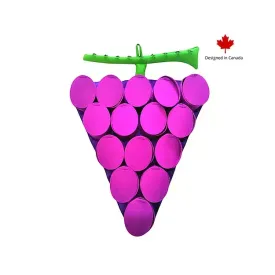 Pawz N Dogz Snuffle Mat - Forbidden Grapes - Level 4