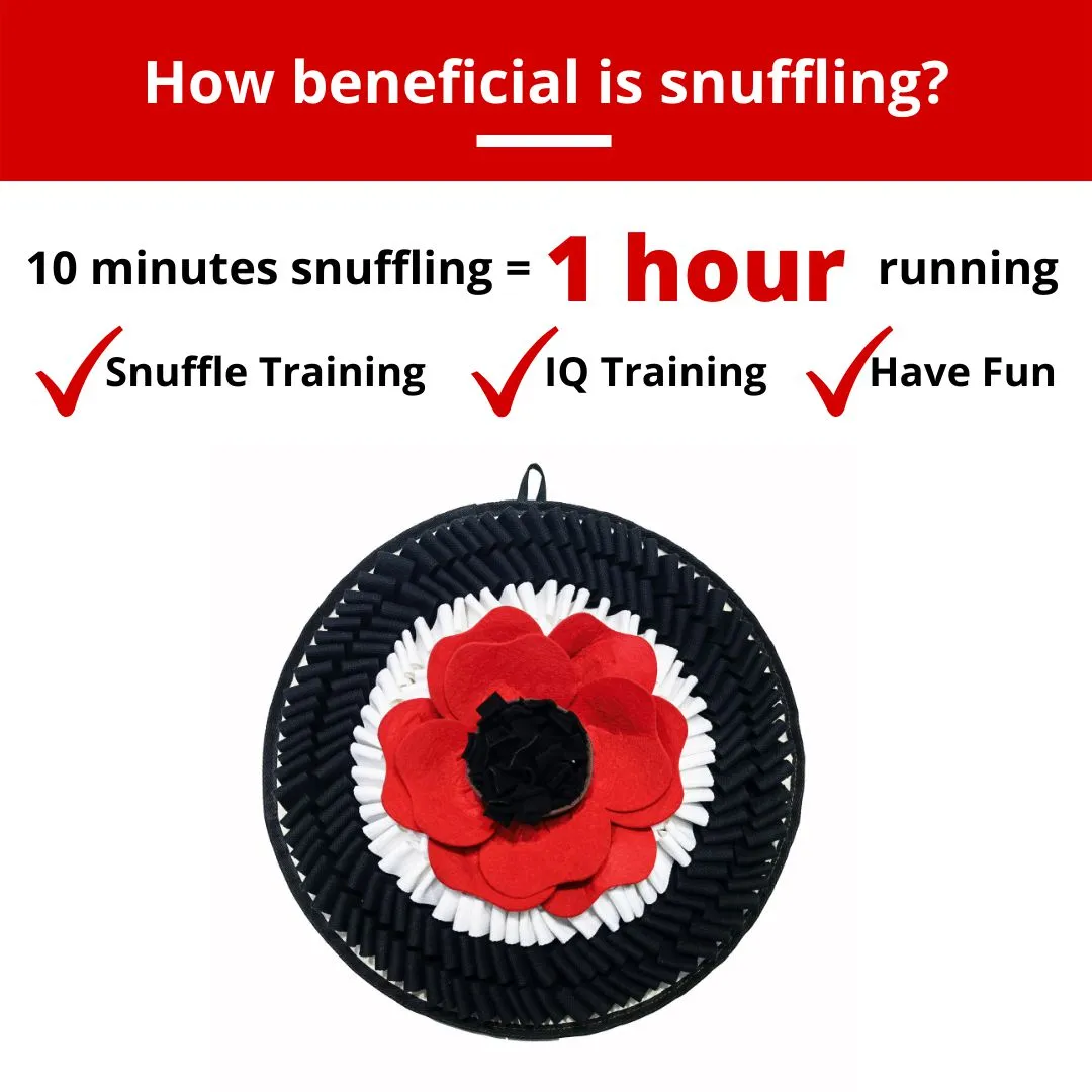 PawzNDogz | Flower Power™ Anti-Bite Snuffle Mat | Challenge Level 3