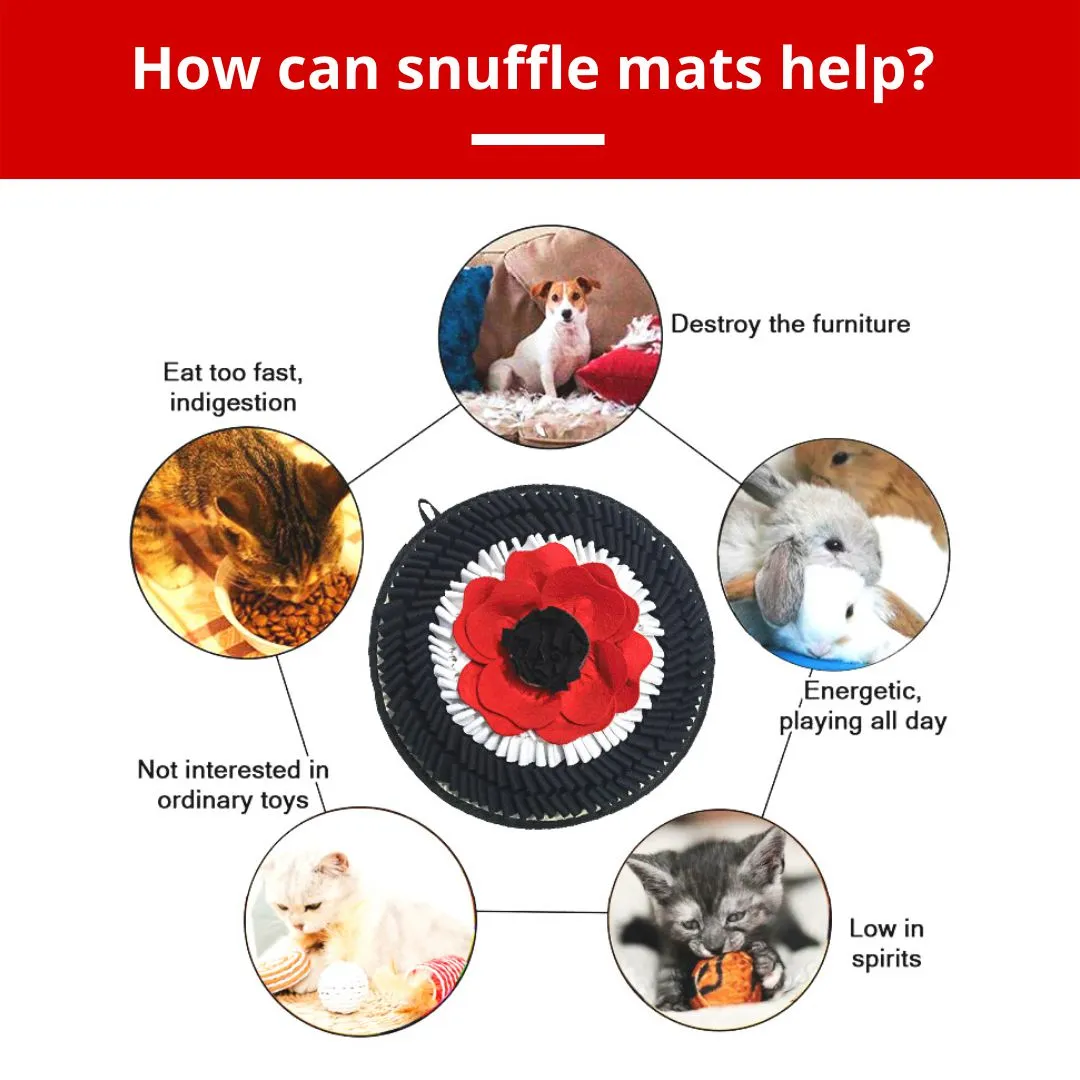 PawzNDogz | Flower Power™ Anti-Bite Snuffle Mat | Challenge Level 3