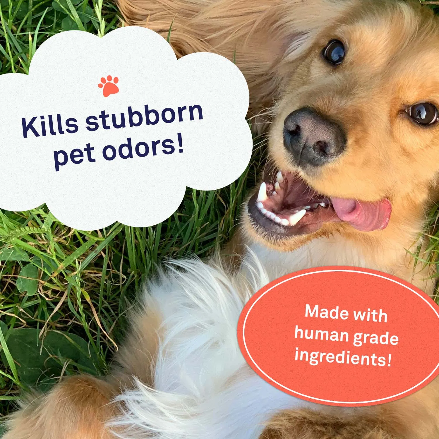 Pet Odor Eliminator