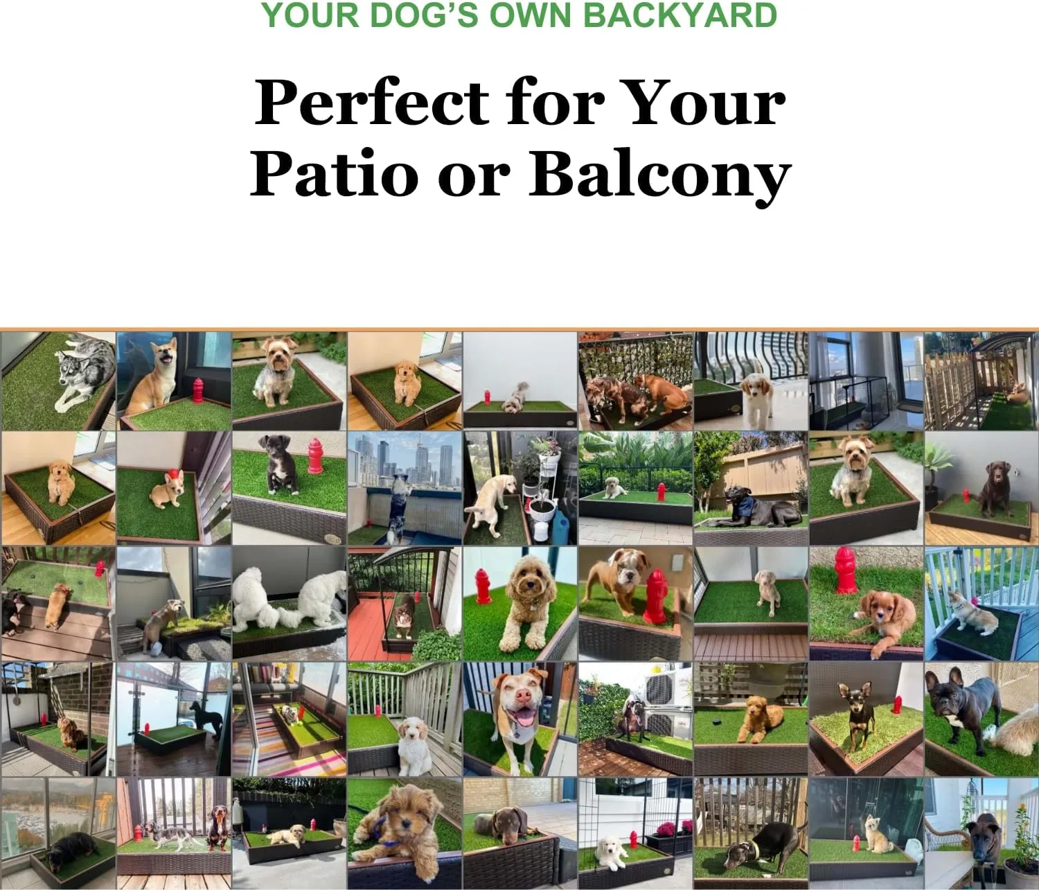 Porch Potty Small - Self-Draining Dog Potty Tray with Premium Synthetic Grass Pads - Dog Grass Pad with Tray - Puppy Pee Pads Washable - 4x2 ft