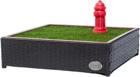 Porch Potty Small - Self-Draining Dog Potty Tray with Premium Synthetic Grass Pads - Dog Grass Pad with Tray - Puppy Pee Pads Washable - 4x2 ft