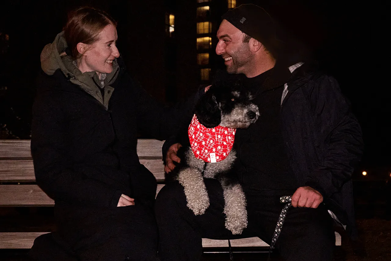 RC Pets Flare Reflective Bandana