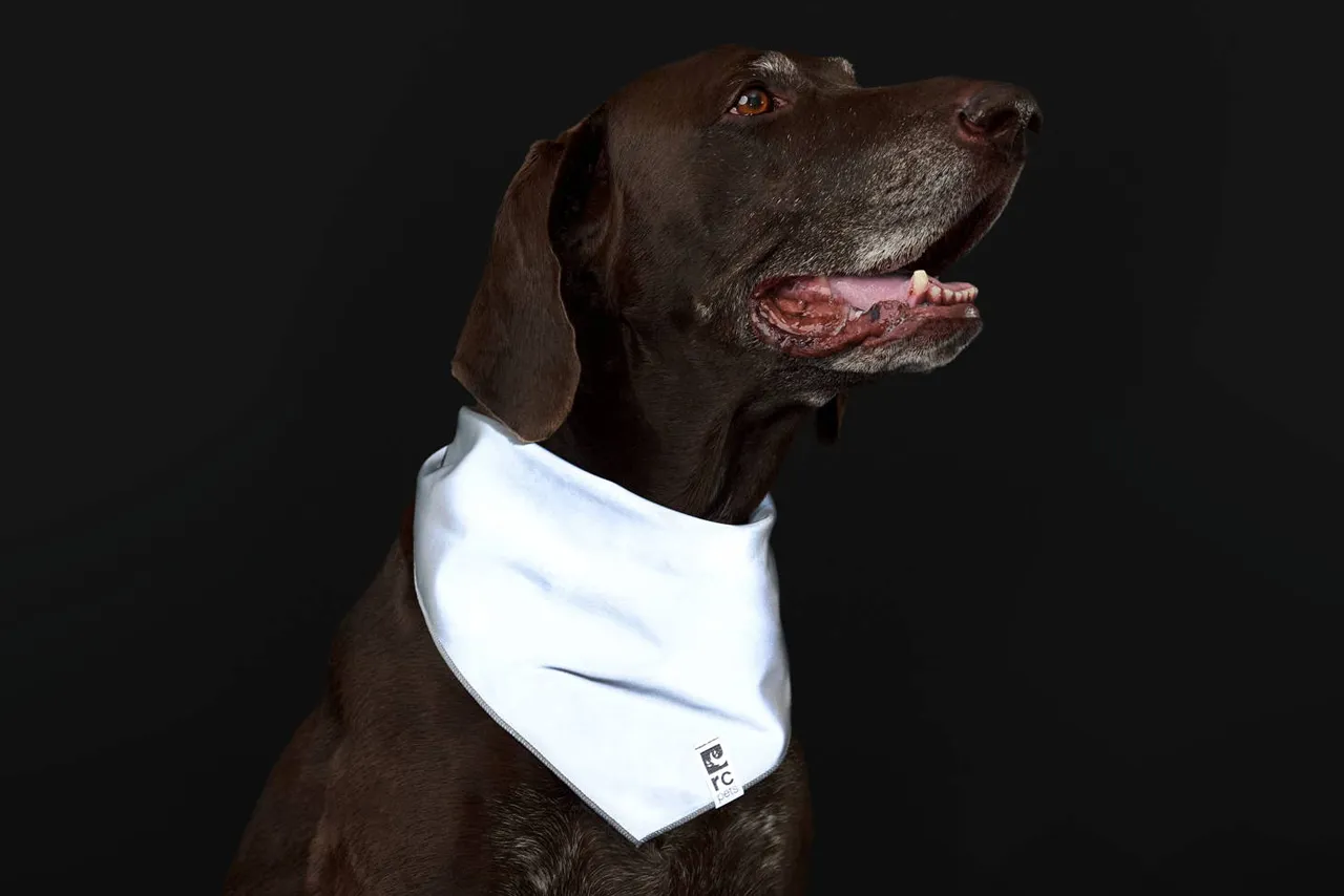 RC Pets Halo Reflective Bandana