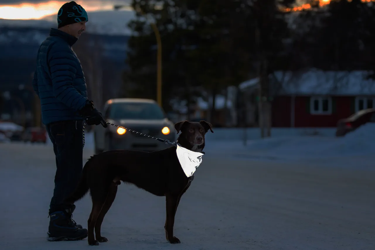 RC Pets Halo Reflective Bandana