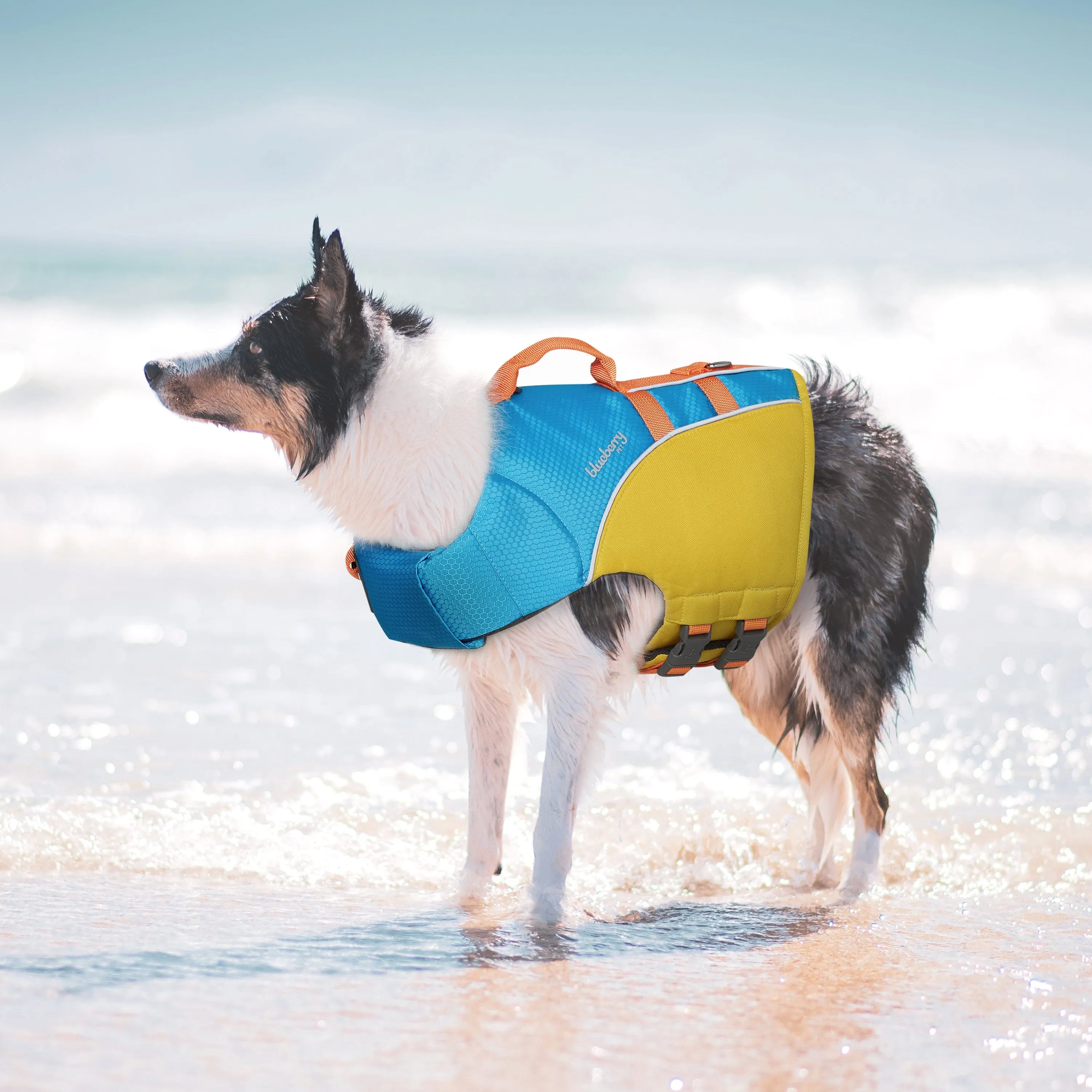 Reflective Dog Life Jacket & Water Safety Gear