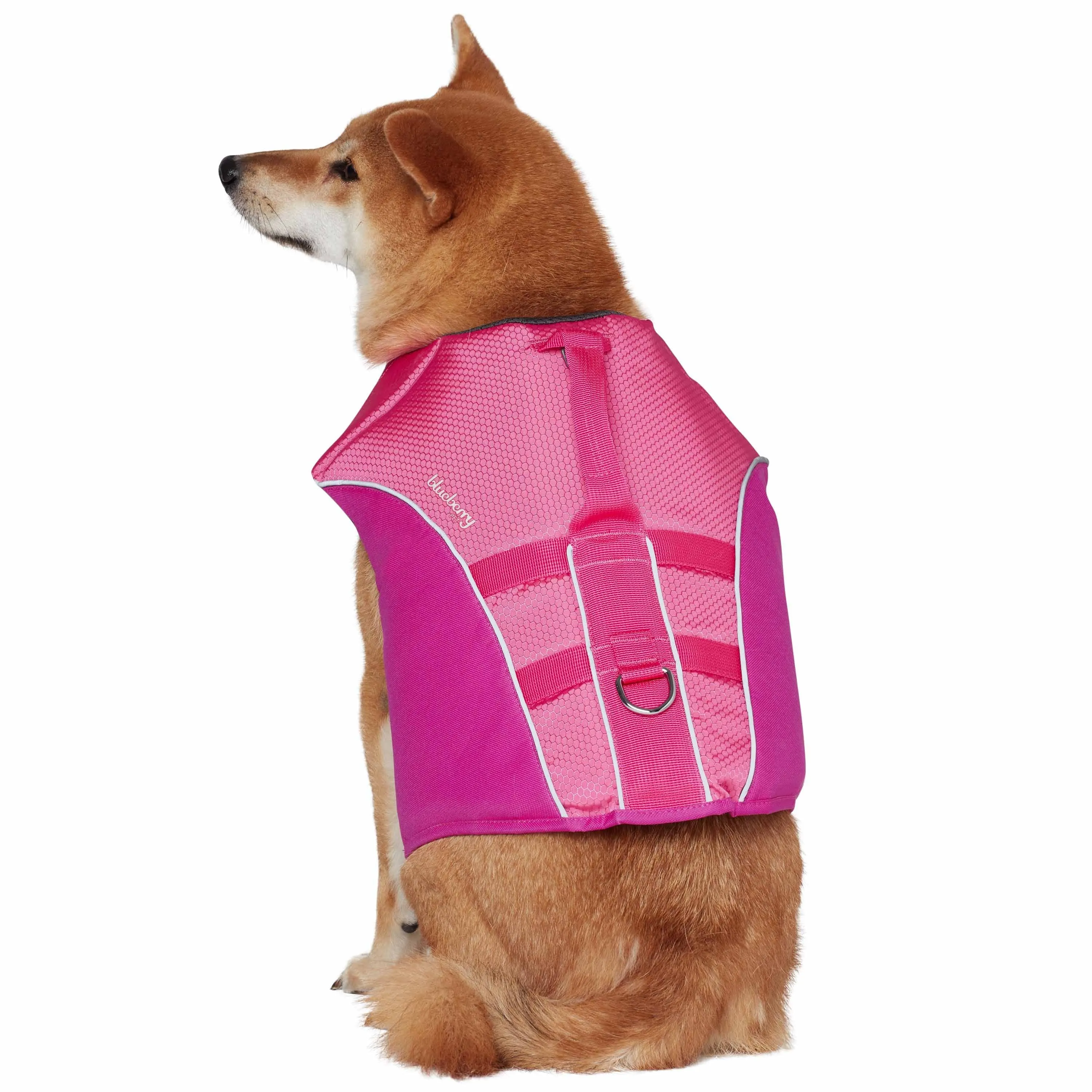 Reflective Dog Life Jacket & Water Safety Gear