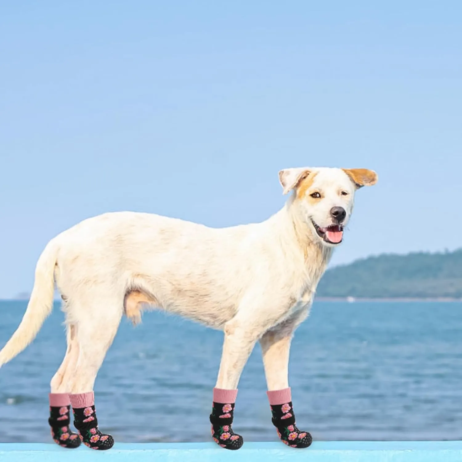 SCENEREAL Anti Slip Dog Socks for Hot/Cold Pavement, Double Sides Dog Boots & Paw Protectors to Prevent Licking Paws, Non Slip Anti Twist Small Medium Large Senior Dogs Socks for Hardwood Floors