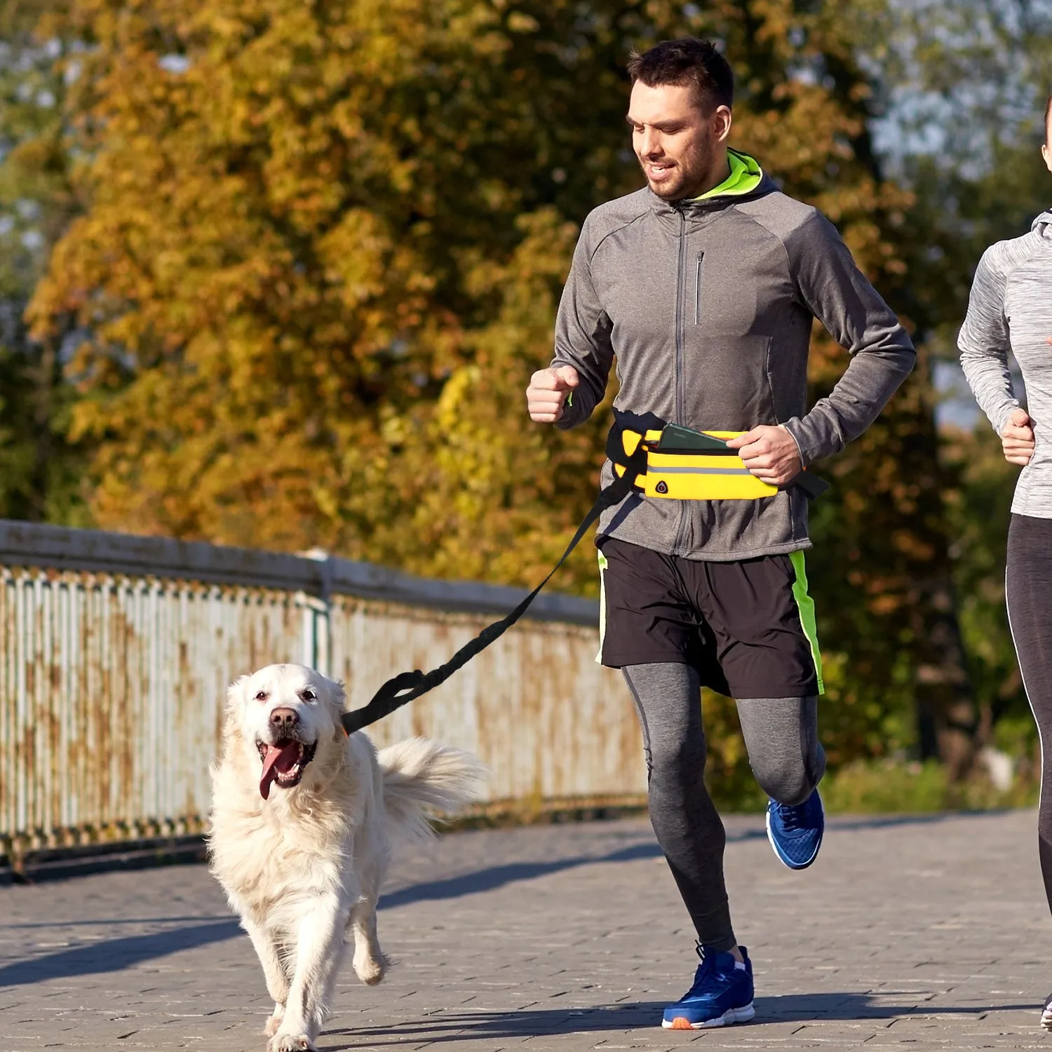 SOGA 2X Yellow Adjustable Hands Free Pet Leash Bag Dog Lead Walking Running Jogging Pet Essentials