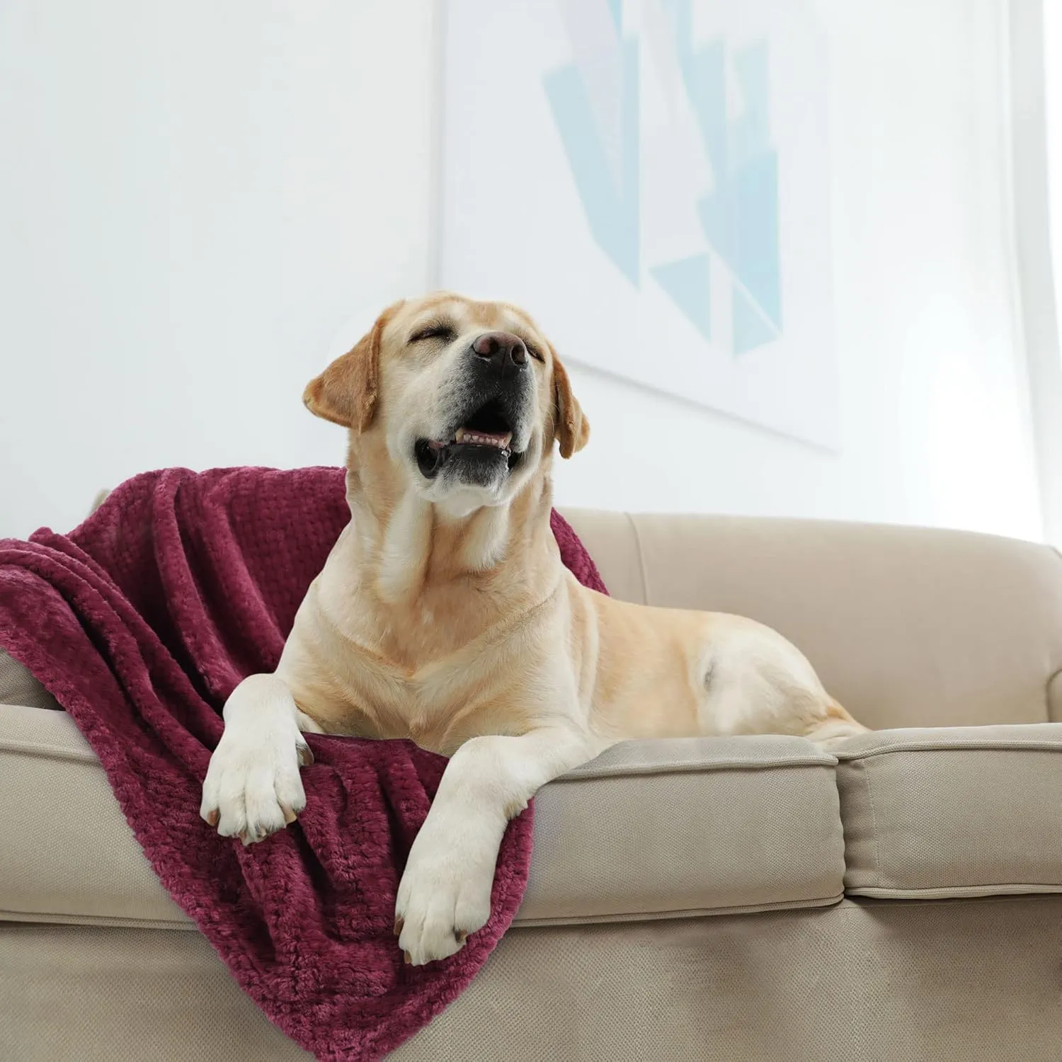 uxcell Flannel Fleece Bed Blankets, Soft Warm Microfiber Blanket, Mesh Fuzzy Plush 330GSM Lightweight Decorative Solid Blankets for Bed Pet (30"x40") Burgundy