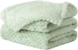 uxcell Flannel Fleece Bed Blankets, Soft Warm Microfiber Blanket, Mesh Fuzzy Plush 330GSM Lightweight Decorative Solid Blankets for Bed Pet (30"x40") Pale Green