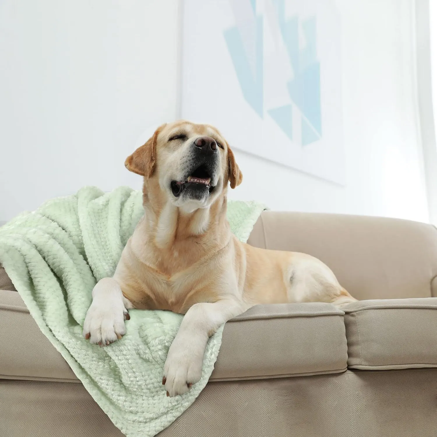uxcell Flannel Fleece Bed Blankets, Soft Warm Microfiber Blanket, Mesh Fuzzy Plush 330GSM Lightweight Decorative Solid Blankets for Bed Pet (30"x40") Pale Green