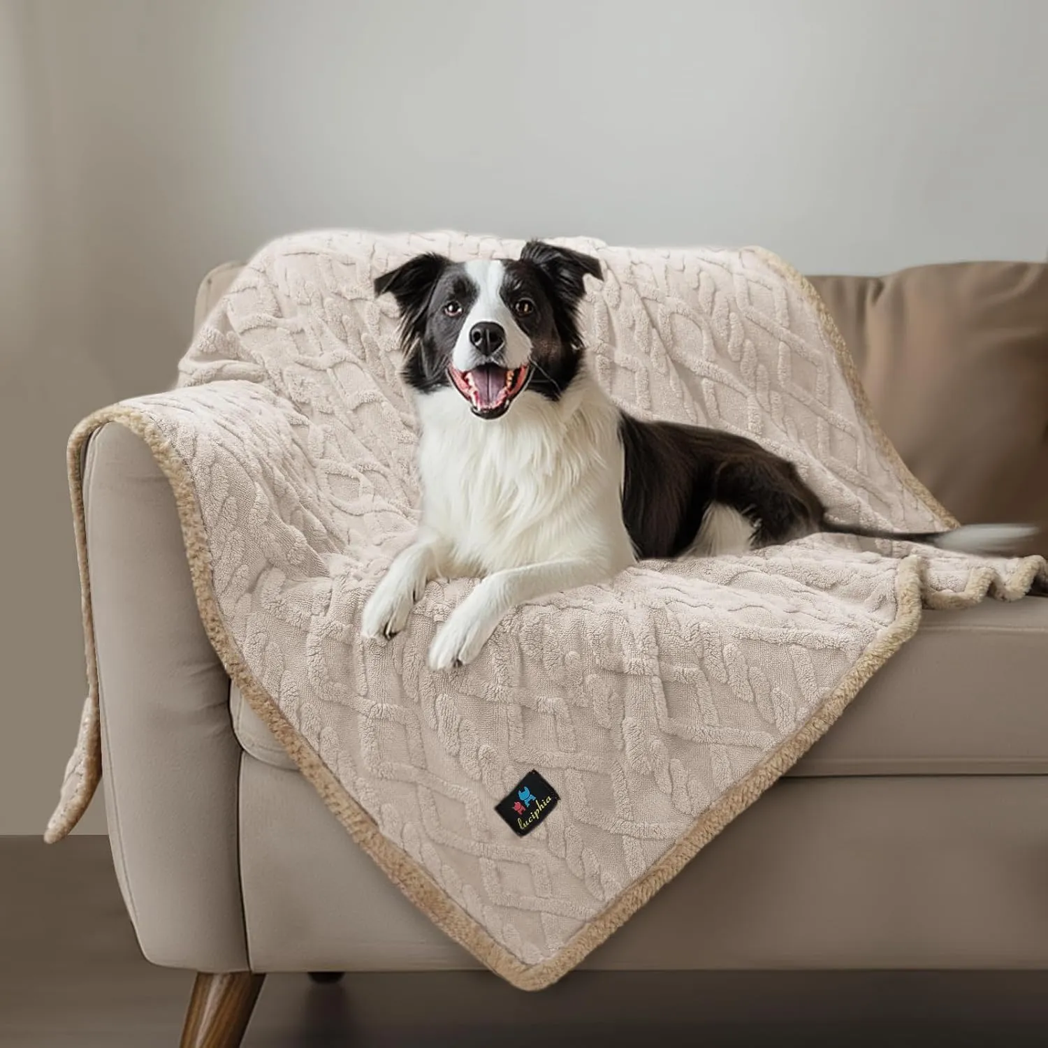 Waterproof Pet Blanket, Liquid Pee Proof Dog Blankets for Sofa Bed Couch, Reversible Sherpa Fleece Furniture Protector Cover for Small Medium Large Dogs Cats,Beige-Thicken Small40" x 28"